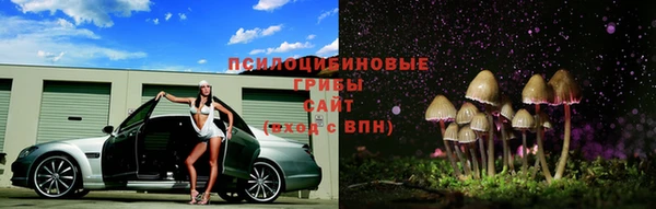 2c-b Алексин