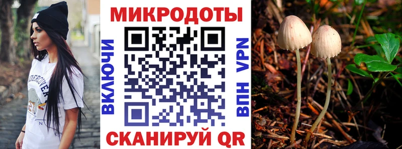 Галлюциногенные грибы MAGIC MUSHROOMS  Киселёвск 